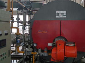 沈阳燃气锅炉厂家 专业铸就品质，科技引领未来