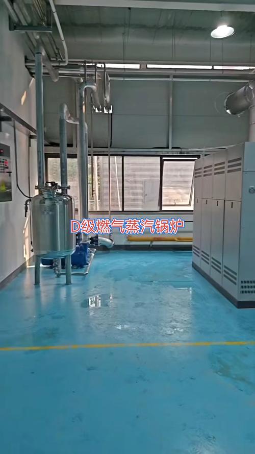 工业管道细节与自动化生产线的协同优化 以D级燃气蒸汽锅炉为例